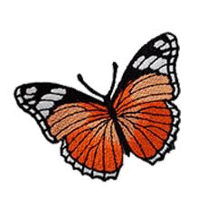 BUTTERFLY