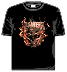FLAMING SKULL