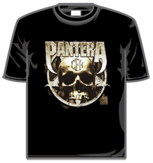METAL SKULL