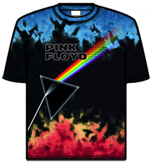 Pink Floyd - Us & Them