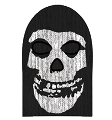 BANK ROBBER