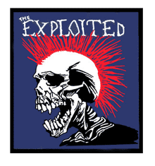SKULL NAVY