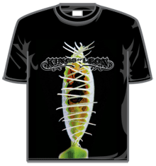 VENUS FLY TRAP
