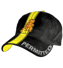 DUMPING PERMITTED