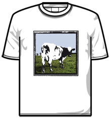 ATOM HEART MOTHER