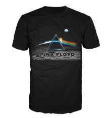 PINK FLOYD - LANDER