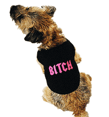 BITCH