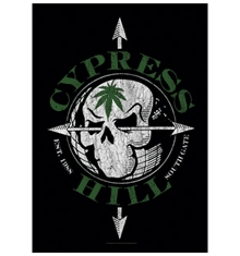 VINTAGE SKULL
