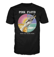 PINK FLOYD - WYWH CIRCLE ICONS